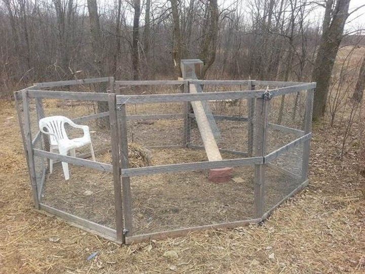 Rabbit Play pen