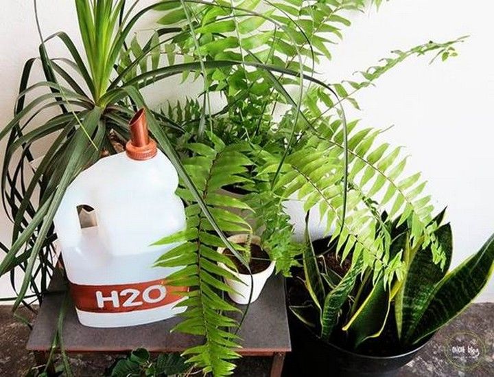 DIY Recycled Watering Can 1