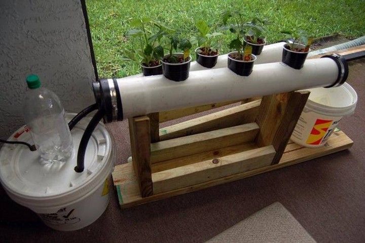 Small NFT Hydroponic 