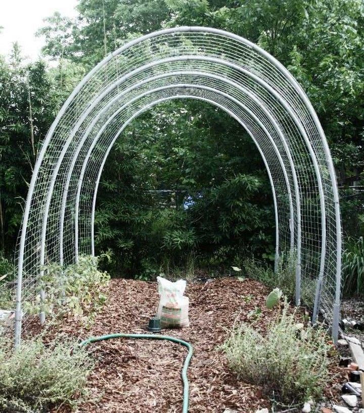 Tomato mesh sttyle grow house
