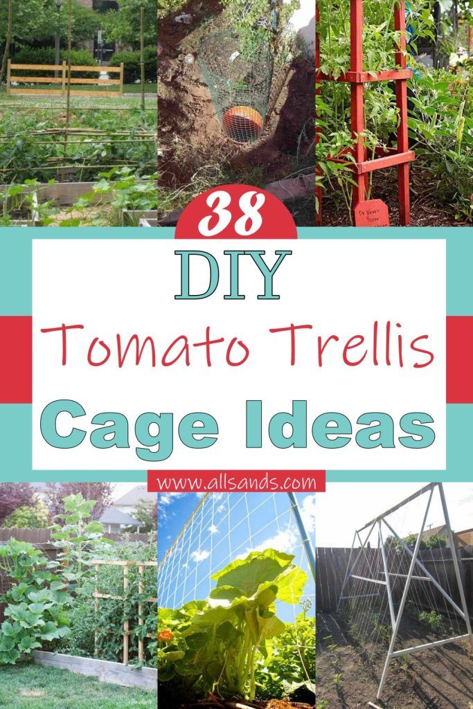 38 Cheap DIY Tomato Trellis & Cage Ideas - All Sands