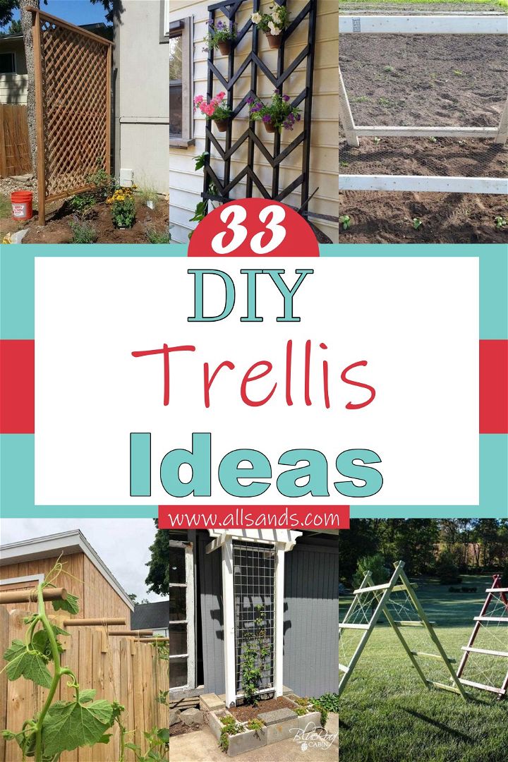 DIY Trellis Ideas