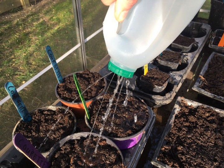 DIY Watering Can With Milk Bottle