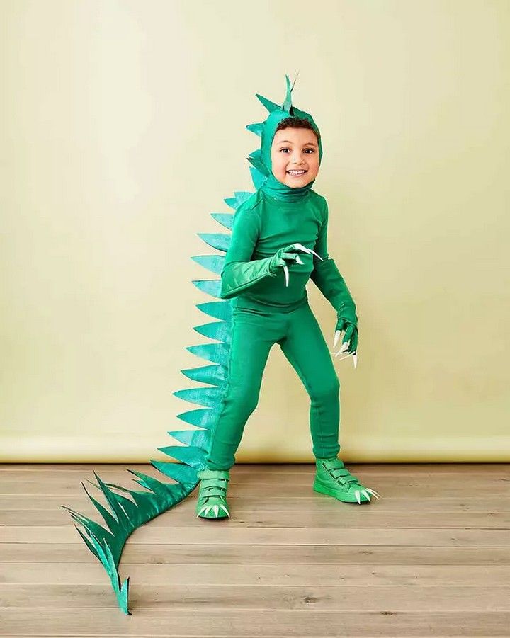 Dinosaur Costume