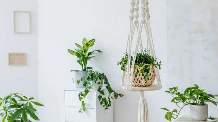 Easy DIY Macrame Shelf To Decorate Your Home