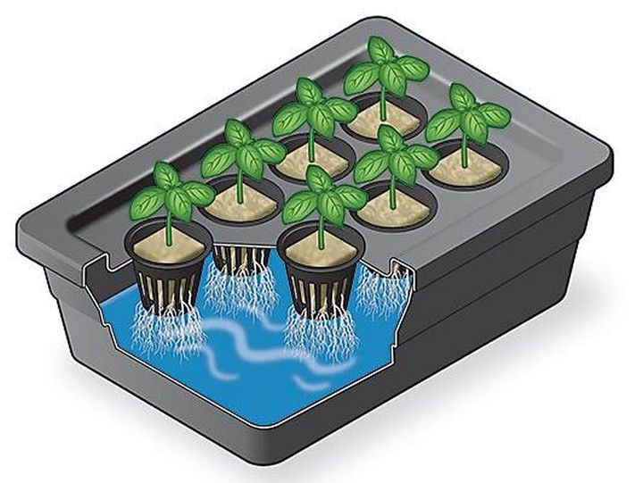 How To Build A Basic Hydroponic System