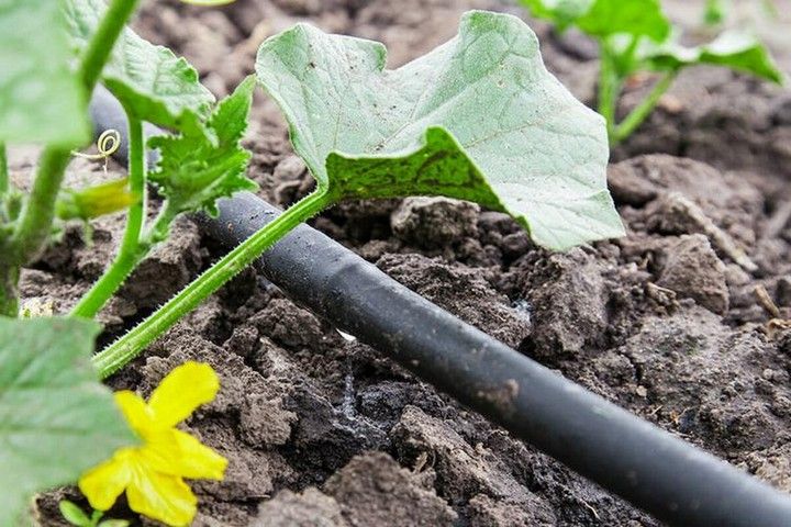 How To Build A Drip Irrigation System