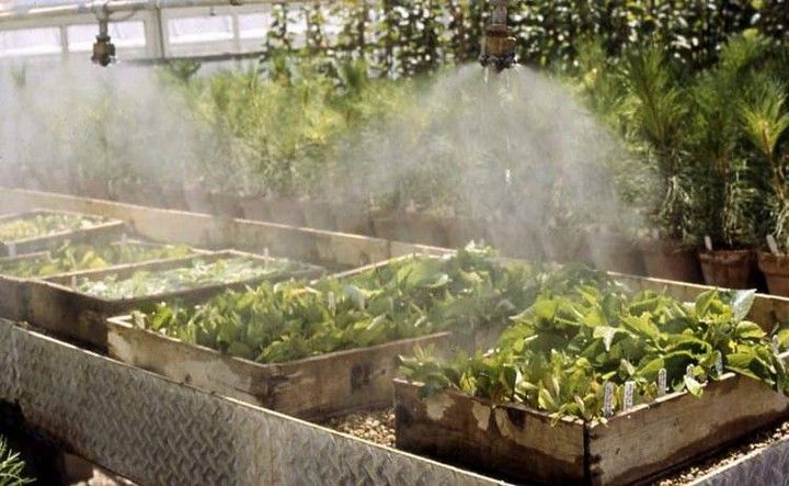 How To Build A Greenhouse Misting System