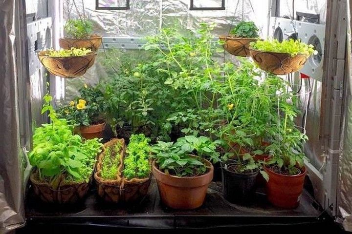 How to Make A Grow Tent