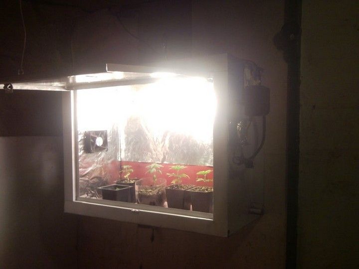 Indoor Seedling Grow Box
