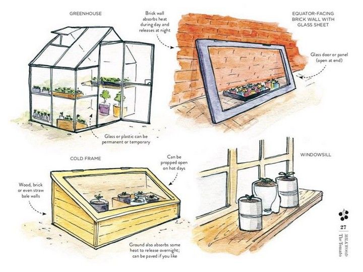Making A small Greenhouse