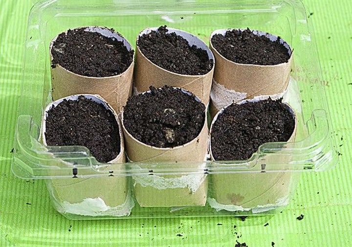 Mini Seedling Greenhouse DIY