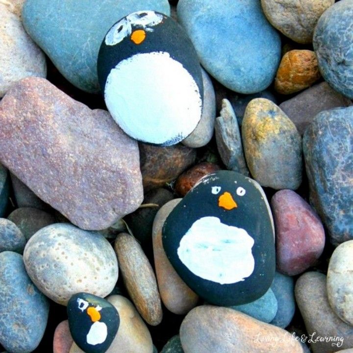 Penguin Rock Pets