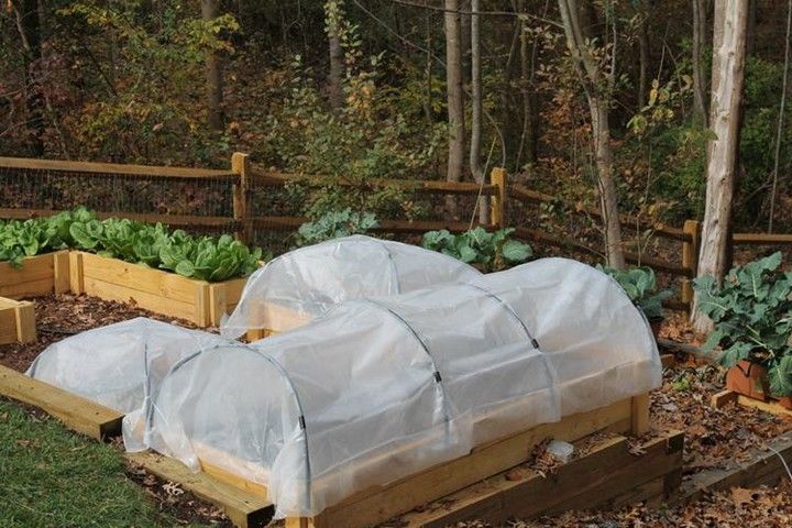Simple Hoop House For Raised Beds