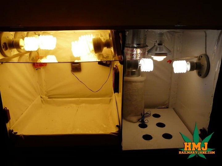 Stealth Grow Box