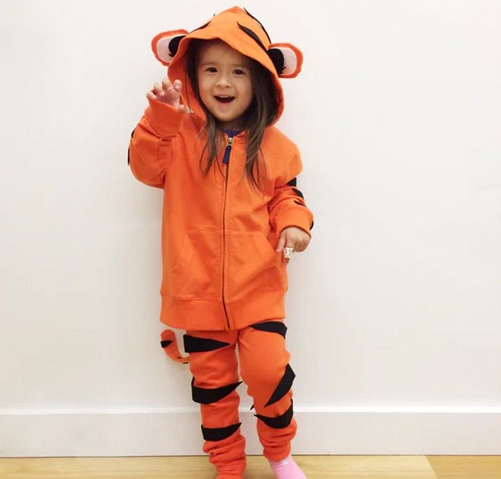 Tiger Costume 1