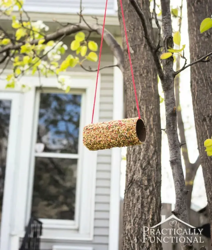 Toilet Paper Roll Into a Bird Feeder