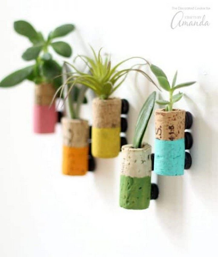 Wine Cork Succulent Magnets