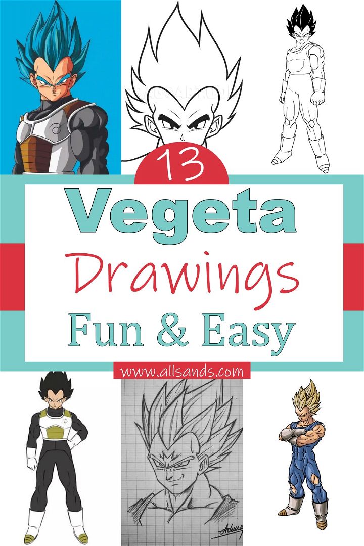 13 Vegeta Drawings